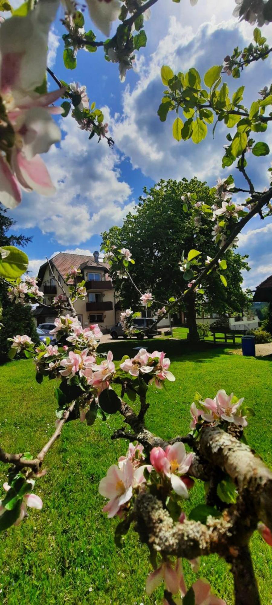 Hotel Gasthof Jaegerhaus سانكت بيتر المظهر الخارجي الصورة